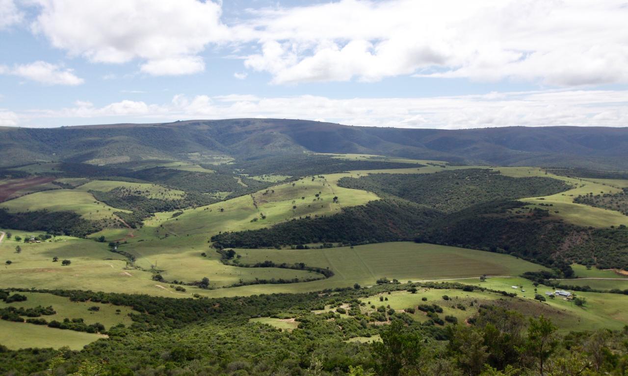 Kromrivier Farm Stays&Addo B&B Paterson Exterior foto